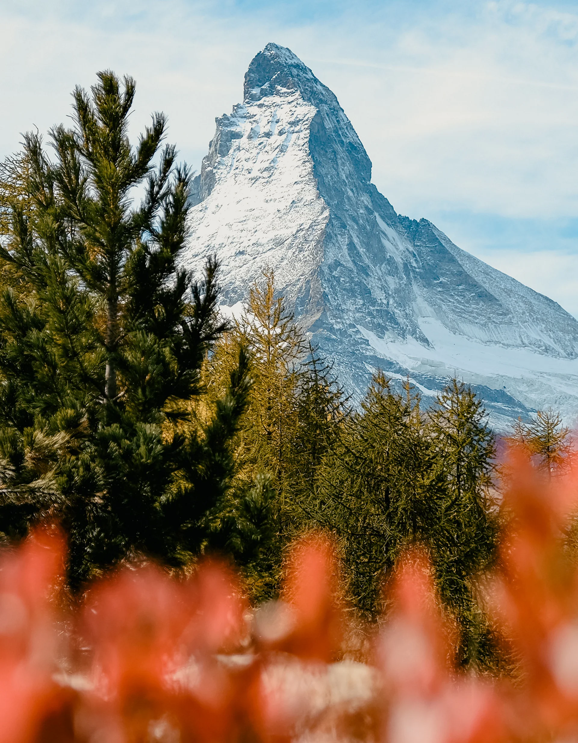 Lage & Anreise nach Zermatt - Resort La Ginabelle Zermatt Schneebedeckter Matterhorn mit Nadelbäumen im Vordergrund